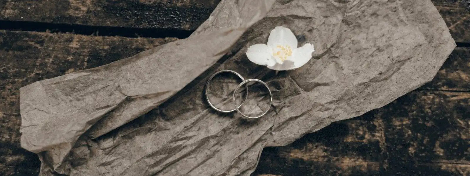 Platinringe - Juwelier Steiner