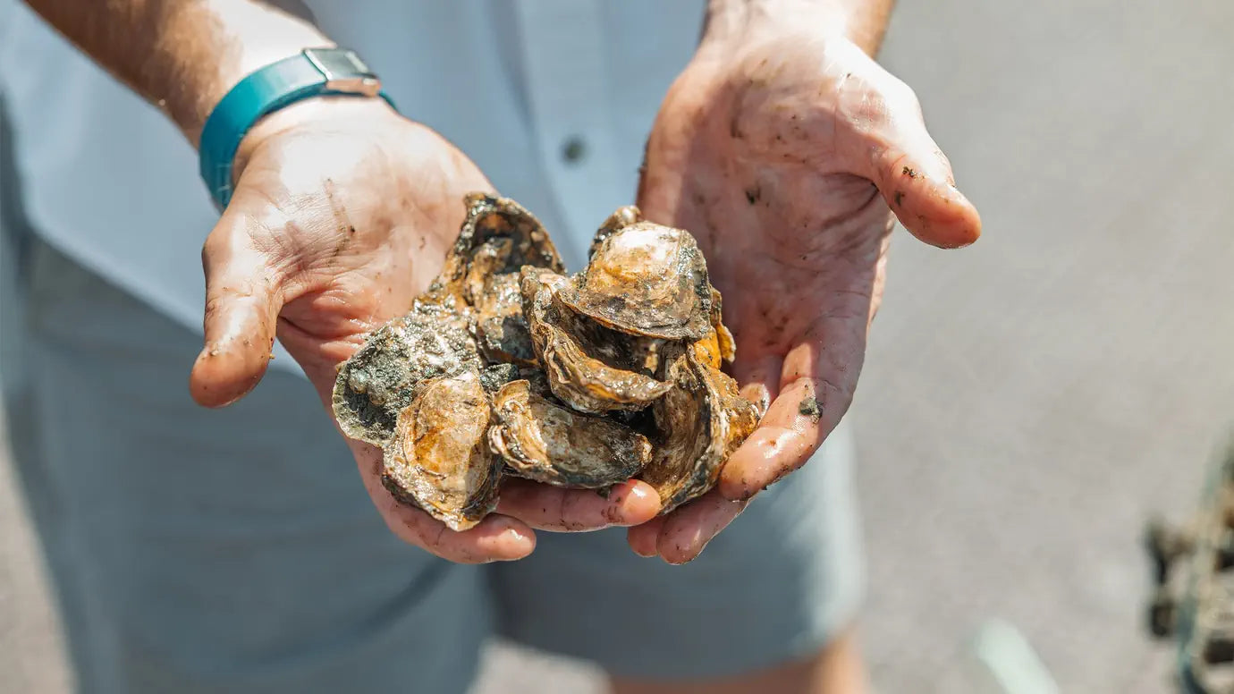 Oris Aquis New York Harbor Limited Edition II 01 733 7789 4187-Set