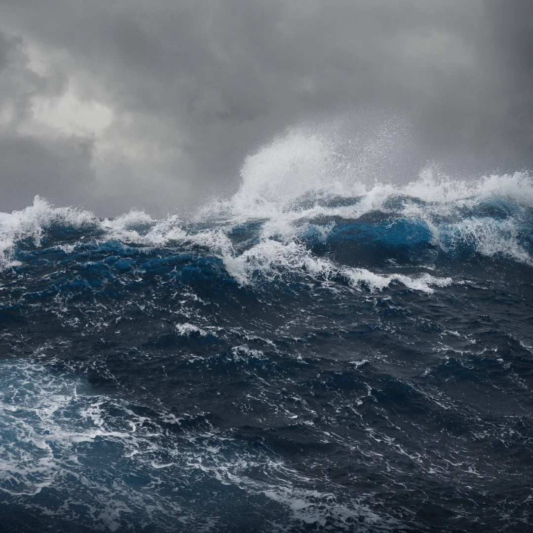 Mühle Glashütte S.A.R. Rescue-Timer M1-41-03-KB