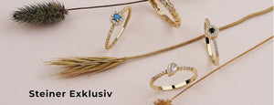 Steiner Exklusiv