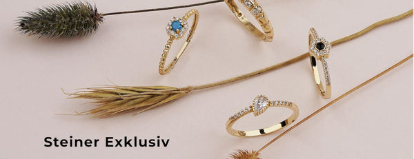 Steiner Exklusiv