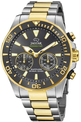 Jaguar Hybrid Connected J889/4