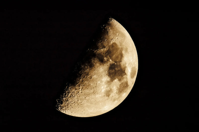 Mühle Glashütte Teutonia IV Mondphase M1-44-03-MB