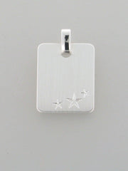 STEINER Basic Gravurplatte