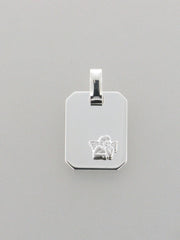 STEINER Basic Gravurplatte