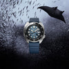 Seiko Prospex Automatic Divers King Turtle "Manta Ray - Night Dive" SRPF77K1 - Juwelier Steiner